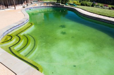 Algae Growth in pools. We can clear that up
